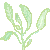 sage11.gif